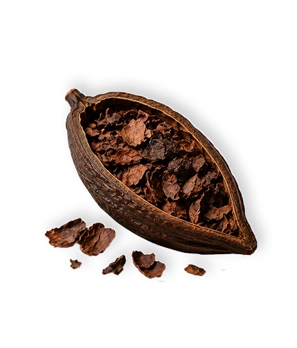 Cocoa pod