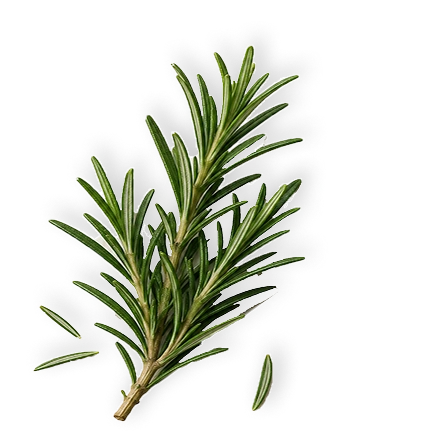 Rosemary