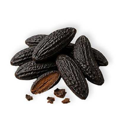 Tonka bean