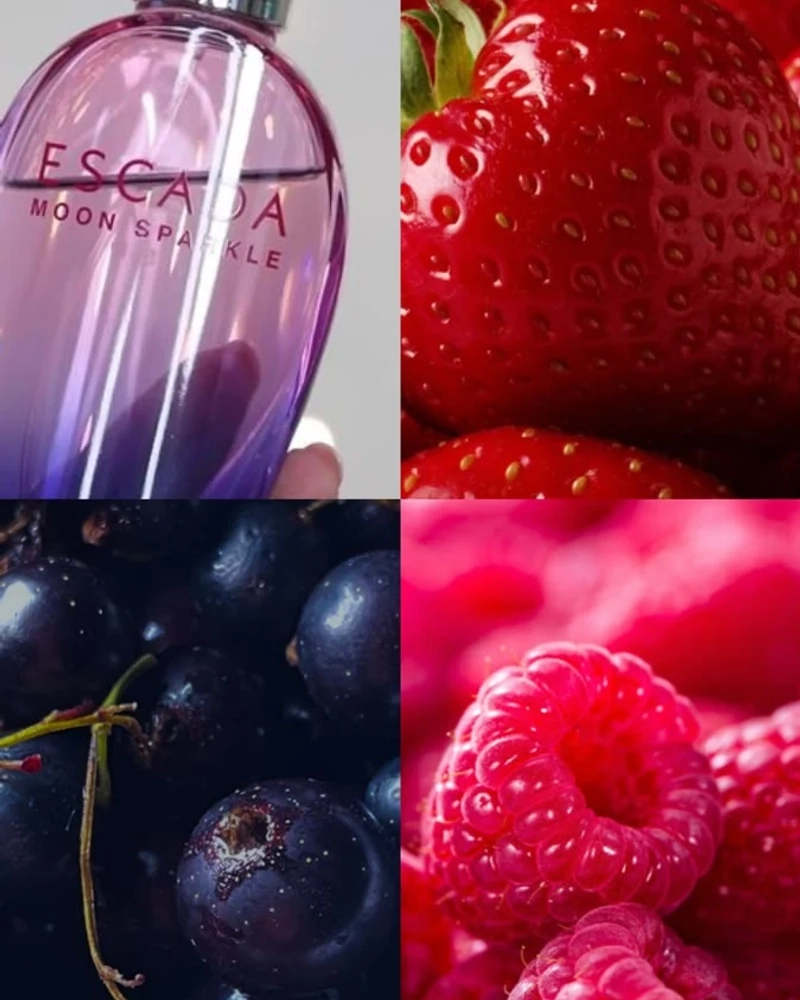 عطر اسکادا مون