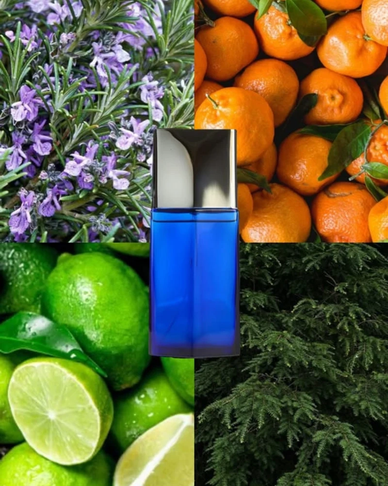 عطر ایسی میاکی بلو