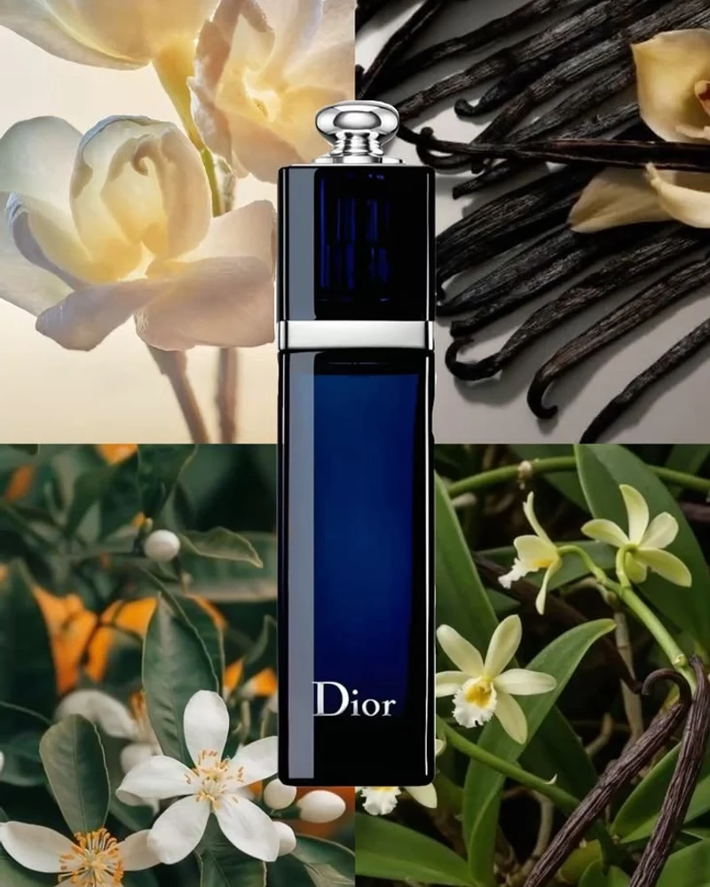 عطر ادیکت دیور