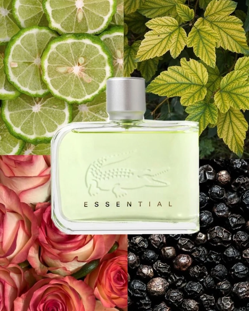 عطر لاکوست سبز