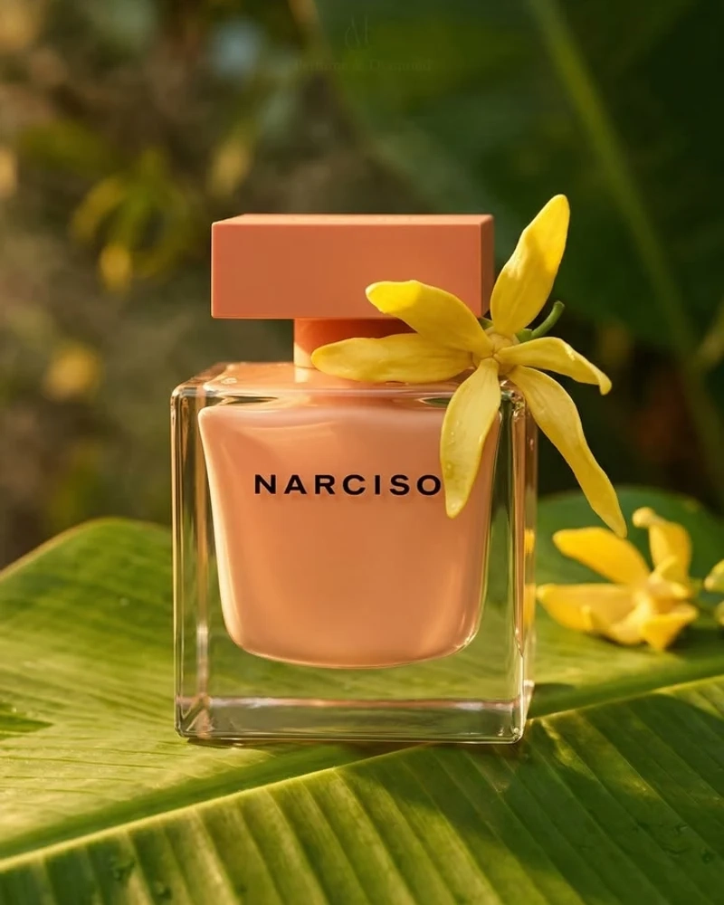 عطر نرگس