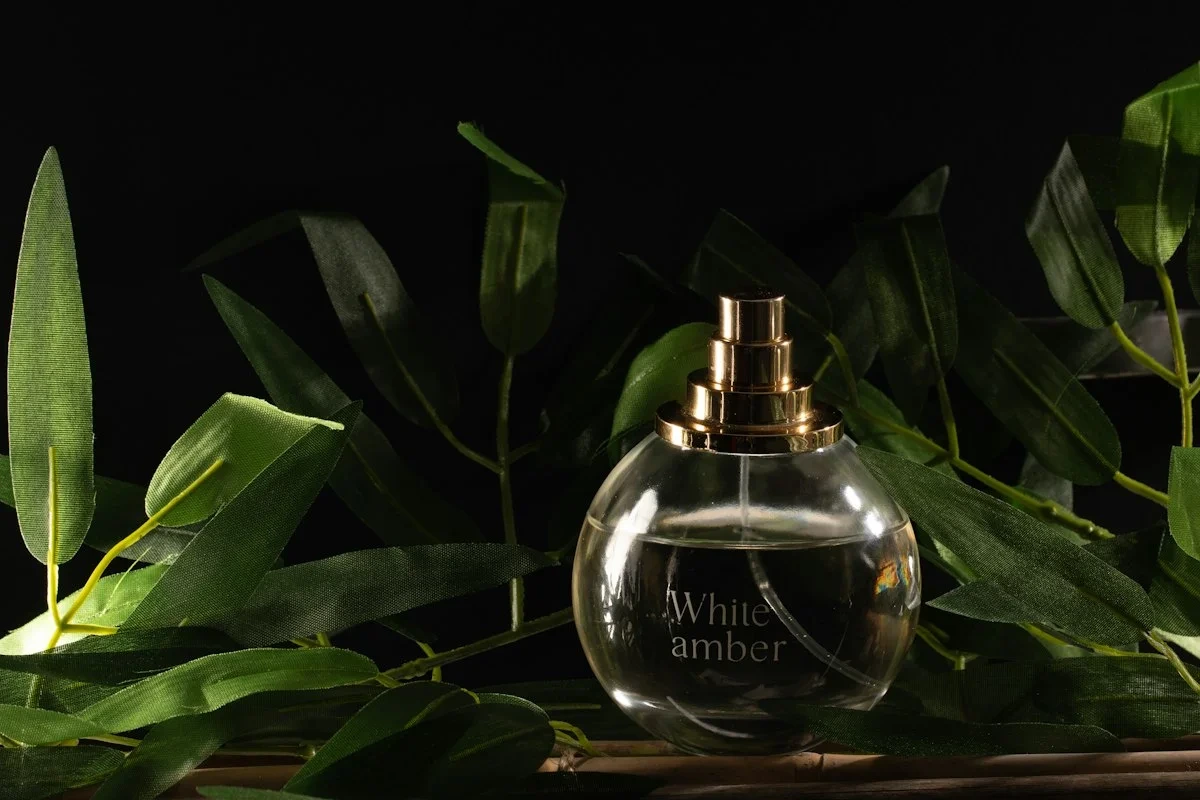 بهترین عطر مردانه برای زمستان؛ ۱۰ رایحه گرم و ماندگار